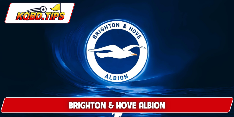 Brighton & Hove Albion