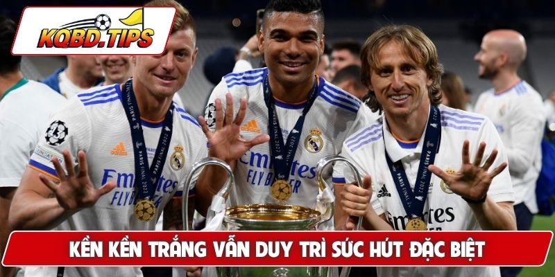 Kền kền trắng vẫn duy trì sức hút đặc biệt